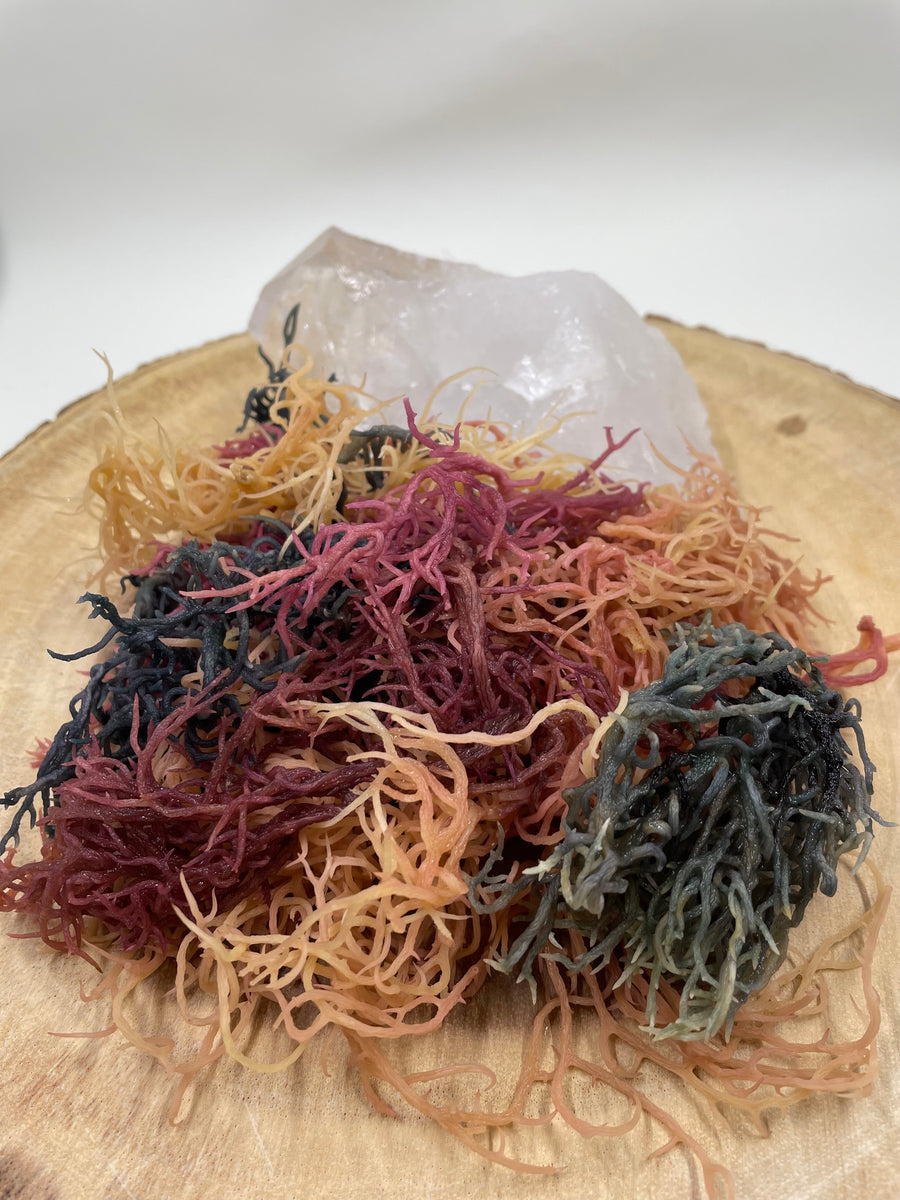 Full Spectrum Sea Moss Gel – Herbalistic Marketplace